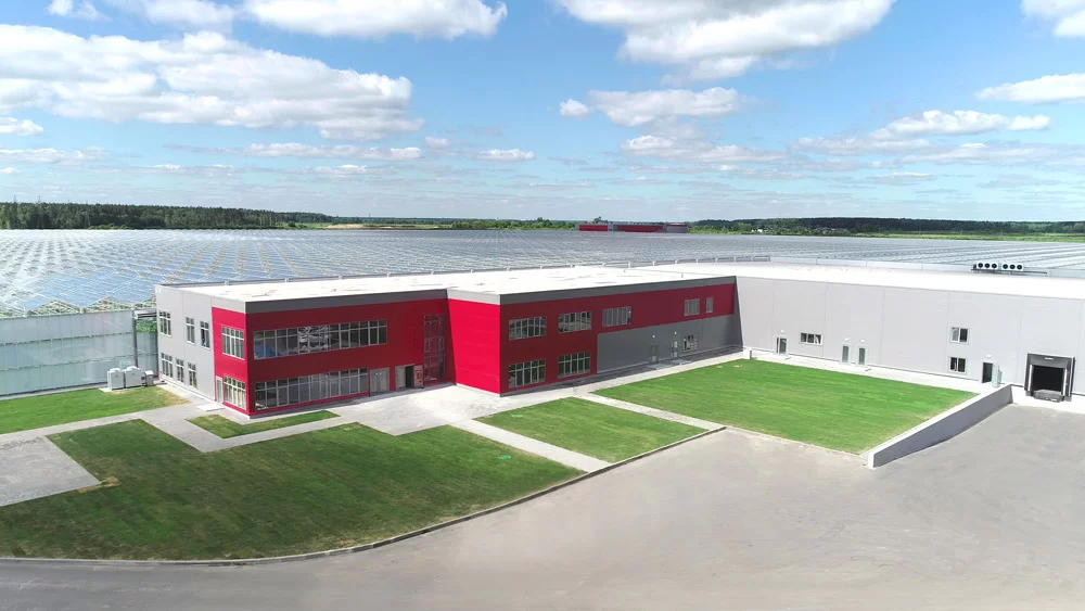 Грибной комплекс